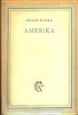 AMERIKA - AZ ELKALLÓDOTT FIÚ