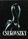 CSEKOVSZKY ÁRPÁD KERAMIKUSMŰVÉSZ ALKOTÁSAINAK GYŰJTEMÉNYE