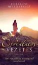 CSODÁLATOS VEZETÉS - AMIT MA A BIBLIA ASSZONYAITÓL TANULHATUNK