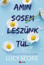 AMIN SOSEM LESZÜNK TÚL - ÉLDEKORÁLT