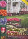 VIRÁGOSKERTI NÖVÉNYEINK