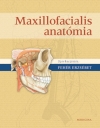 MAXILLOFACIALIS ANATÓMIA