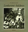 LAMBARÉNÉ - KÜLDETÉS