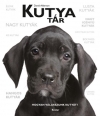 KUTYATÁR - HOGYAN VÁLASSZUNK KUTYÁT?
