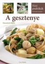 A GESZTENYE - HÁZI PRAKTIKÁK