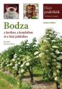 BODZA A KERTBEN, A KONYHÁBAN ÉS A HÁZI PATIKÁBAN