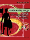 ISTVÁN KIRÁLY BLOGJA AVAGY HOGYAN ALAPÍTOTTAM