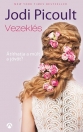 VEZEKLÉS