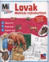 JUNIOR MATRICÁS REJTVÉNYFÜZET - LOVAK ÉS PÓNIK