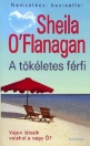 A TÖKÉLETES FÉRFI