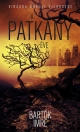 A PATKÁNY ÉVE