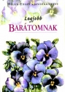 LEGJOBB BARÁTOMNAK - AJÁNDÉKKÖNYV