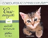 CICA-SIMOGATÓ