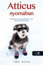 ATTICUS NYOMÁBAN