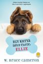 EGY KUTYA NÉGY ÉLETE: ELLIE