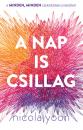 A NAP IS CSILLAG