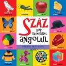 SZÁZ KÉP SZÍNEKKEL ANGOLUL SOK-SOK MATRICÁVAL