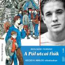 A PÁL UTCAI FIÚK - VECSEI H. MIKLÓS ELŐADÁSÁBAN