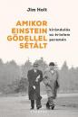 AMIKOR EINSTEIN GÖDELLEL SÉTÁLT - KIRÁNDULÁS AZ ÉRTELEM PEREMÉN