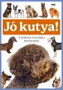JÓ KUTYA