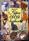 KÉPES CICA LEXIKON