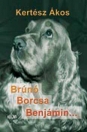 BRÚNÓ BORCSA BENJÁMIN...