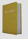 SZENT BIBLIA PRÉMIUM, KICSI - EZÜST SZÉLŰ, TÖBB SZÍNBEN