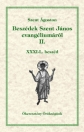 BESZÉDEK SZENT JÁNOS EVANGÉLIUMÁRÓL II.