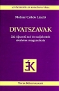 DIVATSZAVAK - 222 ÚJSZERŰ SZÓ ÉS SZÓJELENTÉS RÉSZLETES MAGYARÁZATA