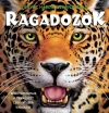 RAGADOZÓK - TÉNYEK HÁROM DIMENZIÓBAN