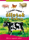 ÁLLATOK A FALUN - CSINÁLD MAGAD!