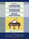 A LEGFONTOSABB UJJGYAKORLATOK Z.2652