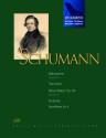 SCHUMANN - HITS AND RARITIES ZONGORÁRA Z. 14658